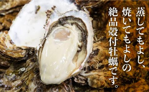 広島G7で提供された牡蠣！【全3回定期便】やながわ自慢！ 殻付き 牡蠣 16個(瞬間冷凍) 牡蠣 かき カキ 殻つき 瀬戸内 広島 ＜マルサ・やながわ水産有限会社＞江田島市[XBL012] 定期便