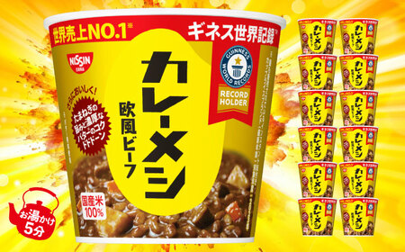 日清カレーメシ 欧風ビーフ 2ケース 計12食 BIBI025 カレーメシ