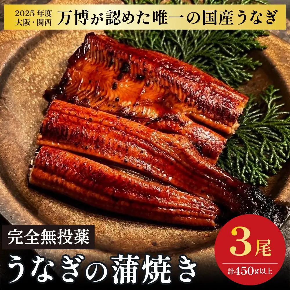 鰻 鰻の蒲焼き3尾セット｜ 国産うなぎ 国産 美陵鰻 うなぎ ウナギ 鰻 かば焼き 蒲焼きせいろ蒸し 土用の丑の日 土用 丑の日 贈答 贈り物 大阪府 阪南市 送料無料 ギフト 特大 肉厚 うな重 うな丼 ひつまぶし 惣菜 おかず タレ 山椒 ワサビ れいわ水産