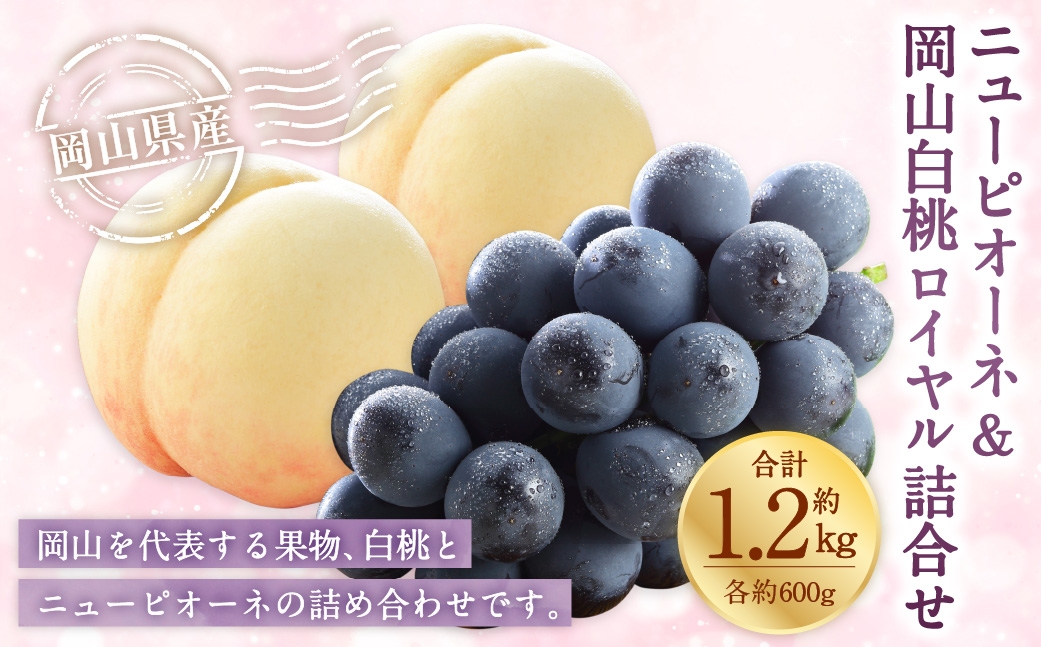 
                  岡山県産 岡山白桃 ロイヤル 3Lサイズ 約300g×2玉・ ニューピオーネ 約600g×1房 詰合せ ぶどう ブドウ 葡萄 くだもの 果物 果実 フルーツ 国産 白桃 モモ もも 桃 家庭用 ギフト 贈り物 贈答 【 2026年7月上旬～8月下旬発送予定 】
                