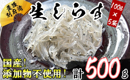 
国産！添加物不使用！豊後別府湾生しらす500g（100g×5パック）＜108-029_5＞
