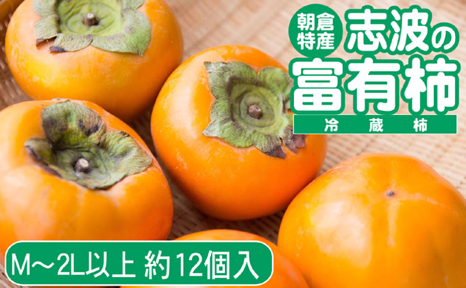 2025年先行予約 志波の富有柿 M～2Lサイズ×約12個入（冷蔵）発送予定：2025年12月20日～2026年1月31日 ※配送不可：離島 果物 フルーツ 秋の味覚 おやつ デザート 産地直送 ブランド 柿の王様 福岡県産 朝倉市産