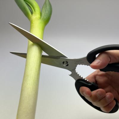 ふるさと納税 関市 キッチンハサミEL ロング/多機能　長い　分解　食洗器　ステンレス　キッチン　調理器具 |  | 01