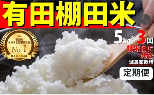 ＜予約受付＞【10月下旬より順次発送】【数量限定】令和7年産 有田 棚田米 5kg<3回定期便> 合計 15kg【みゆきファーム】米 5kg 精米済 白米 定期便 減農薬 organic 棚田米 有田町 令和7年度産 新米 K45-8
