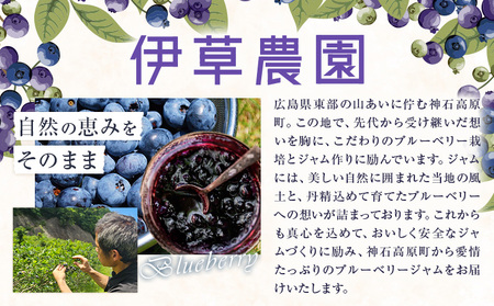 ジャム 神石高原町産 ブルーベリー ジャム 食べ比べ 2本セット 2種 計440g 伊草農園《30日以内に出荷予定(土日祝除く) 》広島県 神石高原町 ブルーベリー ジャム てん菜糖 さとうきび糖