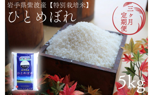 ★令和7年産★【3回定期便】特別栽培米 ひとめぼれ 5kg 岩手県紫波町産 (AD047)