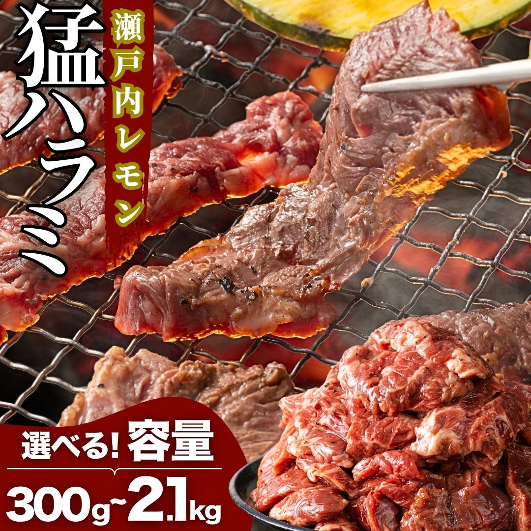 【ふるさと納税】【選べる容量・回数】＼レビューキャンペーン／ 猛ハラミ（タケハラミ） 300g～2.1kg 尾野精肉店の牛ハラミ 瀬戸内レモン塩だれ｜肉 定期便 訳あり 味付け 小分け 冷凍 牛肉 ハラミ お肉 焼肉 BBQ 真空パック 簡単調理 はらみ ※離島への配送不可