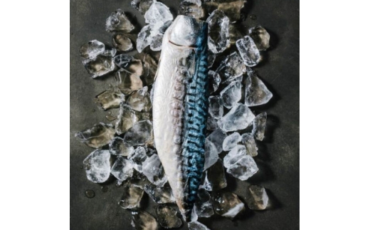魚伝特製干物「さば3枚・3種1セット(さば文化、さばみりん、さば酒干し)」(冷凍)【1784192】