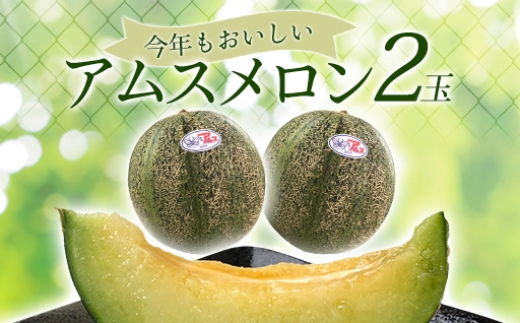 A-546 今年もおいしい『アムスメロン2玉』