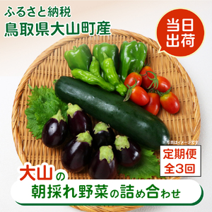 MS-03　新鮮朝採れ野菜 お手頃セット頒布会（計3回）