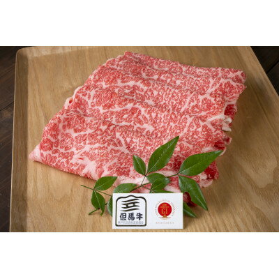 【ふるさと納税】但馬牛　ロース　スライス　600g　兵庫県産【配送不可地域：離島】【1128465】