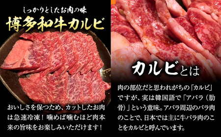 博多和牛 カルビ 特上 500g 株式会社寛大グループ 《30日以内に出荷予定(土日祝除く)》 肉 福岡県 小竹町 にく