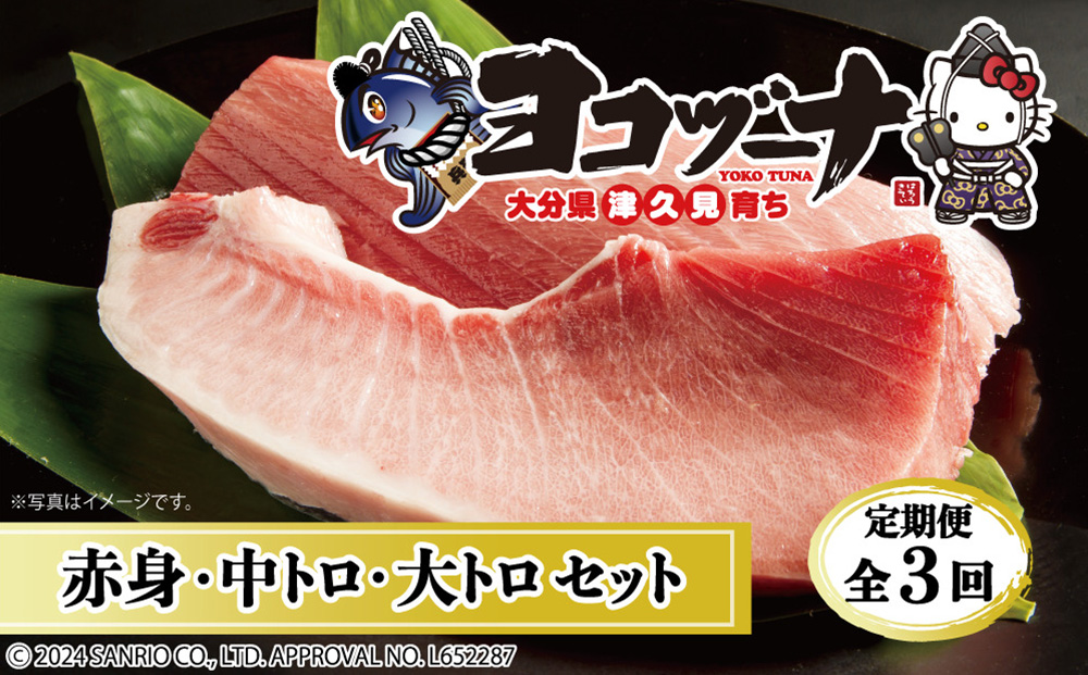 【定期便3回】豊後まぐろヨコヅーナ贅沢セット全3回 | 鮪 刺し身 津久見市