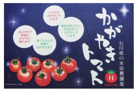トマト 2箱 約70個 かがやき トマト 令和8年