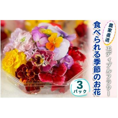ふるさと納税 伊勢原市 農家直送!加藤さんちのエディブルフラワー 3パック (1パックあたり季節のお花15輪から30輪)