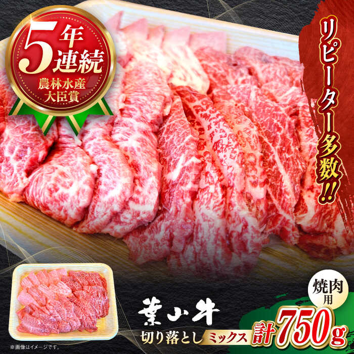 【ふるさと納税】国産 和牛 A5ランク 葉山牛 焼肉用 ミックス 切り落とし ( ロース モモ カルビ 等 ) 計750g A5 黒毛和牛 牛肉 焼肉 冷凍 焼肉食べ比べ 焼肉セット 肉 【葉山牛ステーキレストラン 角車】[ASBD002]