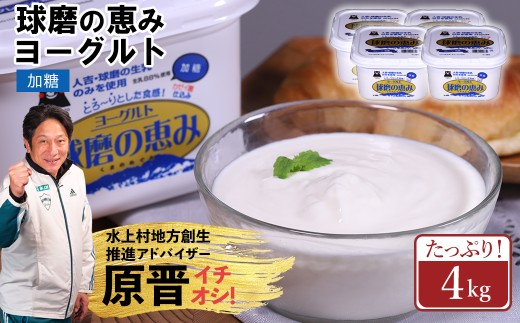 球磨の恵み ヨーグルト 加糖 4kg まとめ買い 大容量 熊本県 水上村