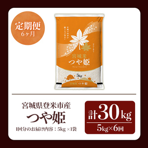 ≪令和7年産≫【6回定期便】つや姫 計30kg (5kg×6回配送) 登米市産 お米 おこめ 米 コメ 白米 ご飯 ごはん おにぎり お弁当 6か月 頒布会【登米ライスサービス株式会社】tm458