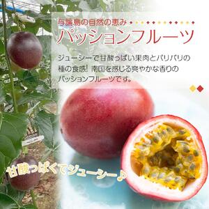 【2026年6月中旬以降発送】与論島産パッションフルーツ11～12玉　約1ｋｇ | パッションフルーツ