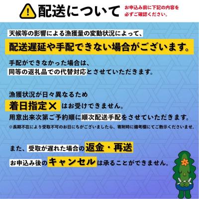 ふるさと納税 利尻町 【2026年発送受付】利尻島産 天然塩水生うに170g 利尻昆布育ちの旨みウニ(85g×2) |  | 03