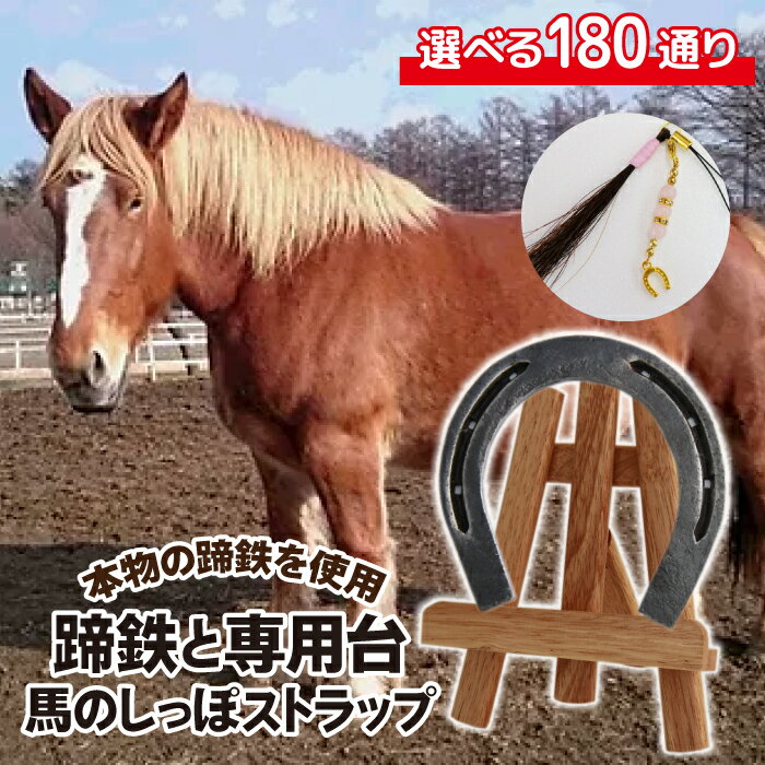 【ふるさと納税】 蹄鉄 おすすめ てい鉄 × 専用台 × 馬の尻尾の毛 ストラップ ／ 馬蹄 馬てい 本物 蹄 インテリア 加工済 クラフト 置物 置き物 おしゃれ 雑貨 幸運 開運 厄除け 魔除け お守り 馬毛 尻尾 誕生石 馬 グッズ 岩手県 滝沢市 送料無料 馬っこパーク・いわて