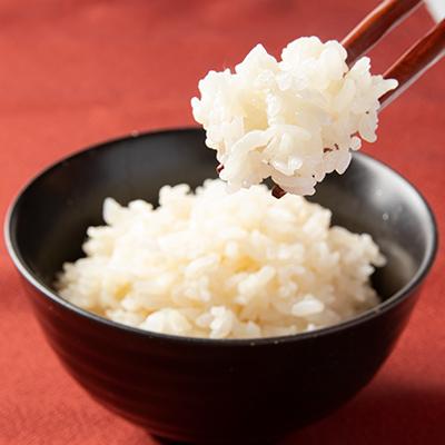 ふるさと納税 白山市 幸せの健康ご飯　12個入り |  | 03