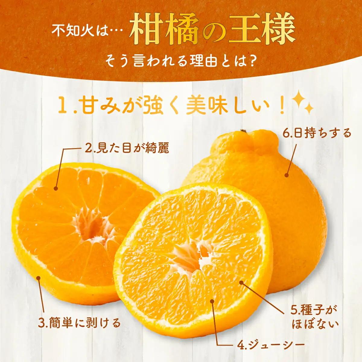 【 不知火 】岡村農園 不知火 約 4kg dp006