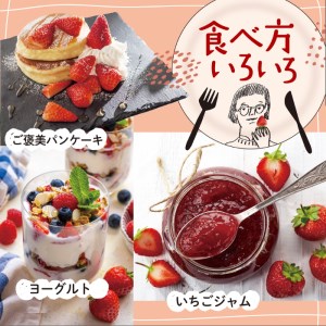 あまおう いちご 1,080g ( 約 270g × 4パック ) 糸島市 / 株式会社HSP-テクノ [AZL001] グランデ 等級 福岡県産 いちご 苺 イチゴ あまおう 果物 フルーツ ストロ