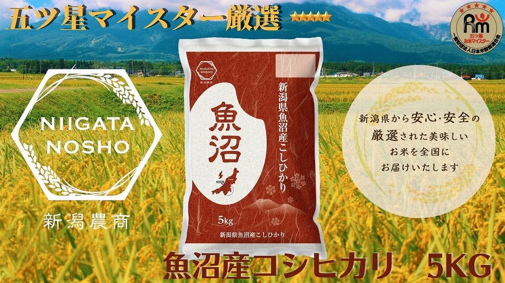 【令和7年産】五ッ星マイスター厳選　魚沼産コシヒカリ　5kg