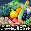 【ふるさと納税】野菜 北海道 おまかせ 旬 野菜セット 南ふらの町 産地直送 旬の野菜 詰め合わせ セット ミニトマト きゅうり ズッキーニ なす とうもろこし ピーマン 夏野菜 夏 秋 2024年発送　南富良野町　お届け：2024年7月10日～9月30日まで