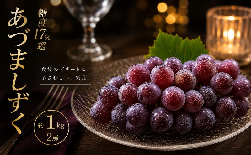 
                  ぶどう あづましずく 種なし 計約1kg 2房 フルーツ グレープ デザート 大粒 あま～い 甘い 糖度 ジューシー ほどよい 酸味 濃厚 果汁 果肉 肉厚 食べごたえ 満点 さっぱり みずみずしい スイーツにも最適 フローズンもおすすめ 子どもも大人も大喜び 宮城県 岩沼産
                
