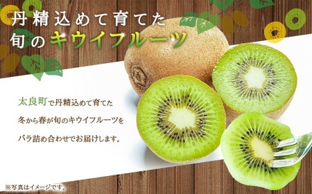 【体が喜ぶ】 キウイフルーツ 約2kg前後 （17～22個） バラ詰め合わせ （スタンドパック 3袋付き） 【2026年12月上旬-2027年4月下旬発送】 果物 くだもの 果実 キウイフルーツ フル
