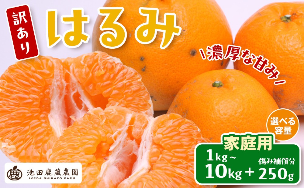 
                  ［先行予約］［選べる内容量（1kg～10kg）］家庭用はるみ［デコポンの姉妹品種・新食感春みかん］ 訳あり わけあり
                
