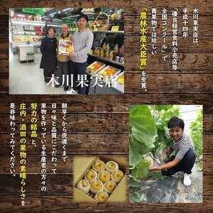 SA2926　酒田の果物専門店厳選　刈屋産 幸水梨　約3kg(7～9玉入)