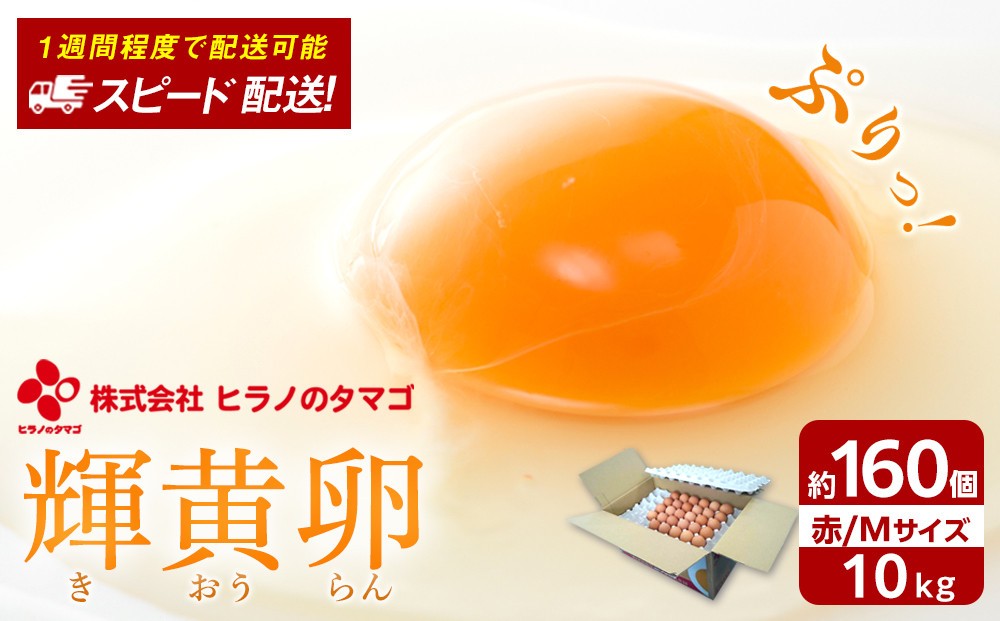 
            ヒラノのたまご 輝黄卵(きおうらん)赤Mサイズ10kg(160個前後)【卵 たまご タマゴ 生卵 生たまご 鶏卵 たまご 卵 国産 たまご 卵 タマゴ 鶏卵 たまごやき 卵かけご飯 卵焼き ゆでたまご たまご 新鮮 直送 朝ごはん 卵かけごはん AJ001】
          