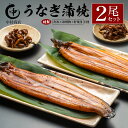 【ふるさと納税】◆中村商店　うなぎ蒲焼2尾セット肝焼き付