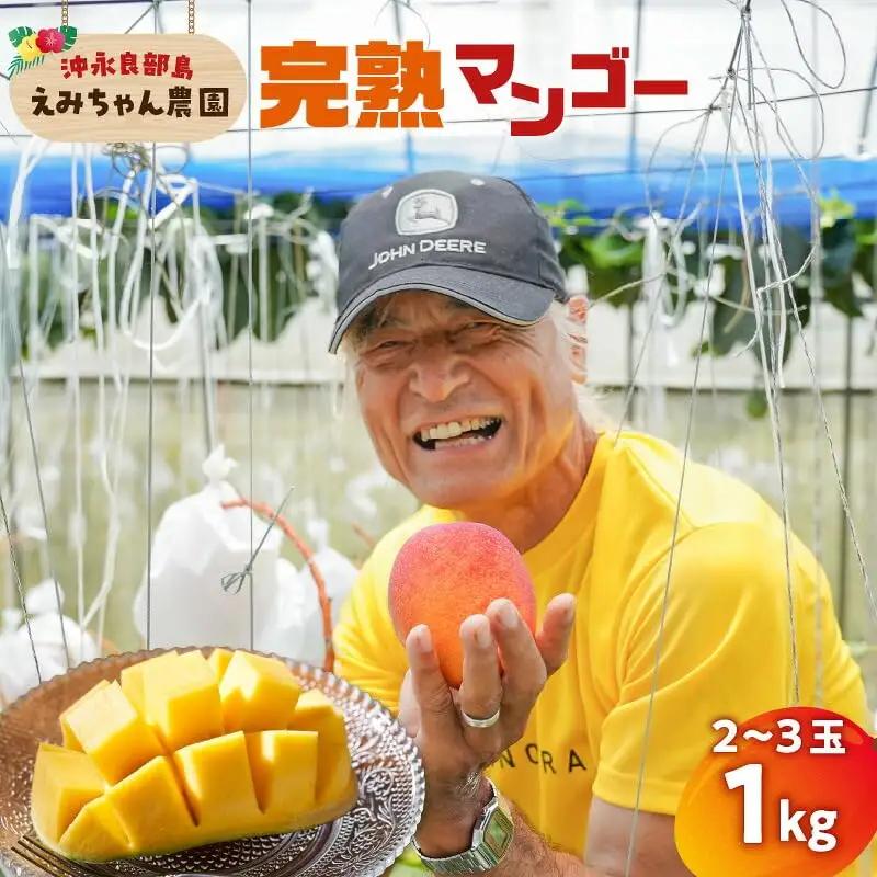 【 2027年先行予約 】えみちゃん農園の完熟マンゴー1キロ（2～3個入り） C008-006 完熟マンゴー 甘い