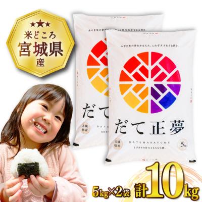 ふるさと納税 気仙沼市 米 宮城県産 だて正夢 10kg (5kg×2袋) 気仙沼米穀商業協同組合 20565610 ◎