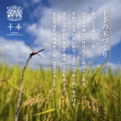 ふるさと納税 十日町市 魚沼産 コシヒカリ 特別栽培米 精米 10kg 産地直送 新潟県十日町市 |  | 01
