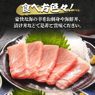 ふるさと納税 香南市 本まぐろ 中トロ 約500g 2冊 養殖 本鮪 ブロック oo-0002 |  | 02