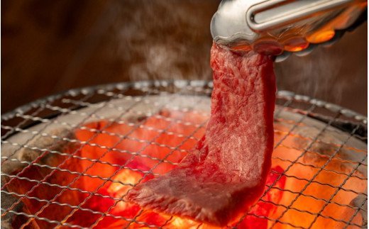 4等級以上/おおいた和牛焼肉用モモ 600g_1974R_イメージ2