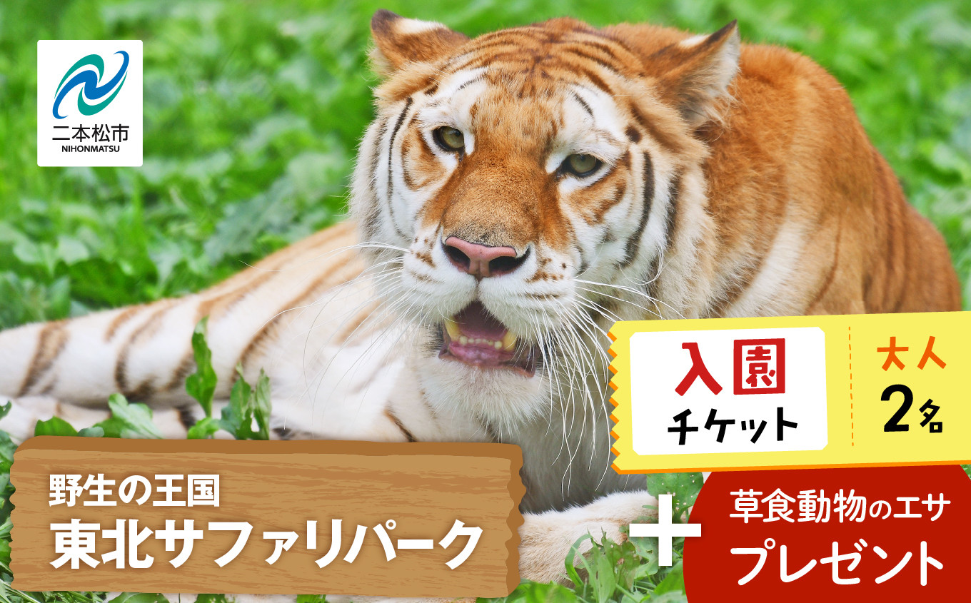
                  東北サファリパーク入園チケット大人2名（ 入園チケット＋草食動物のエサ） 動物 動物園チケット どうぶつえん 体験 チケット 券 入場券 入園券 エサやり おすすめ お中元 お歳暮 ギフト 送料無料 二本松市 ふくしま 福島県 送料無料【東北サファリパーク】
                