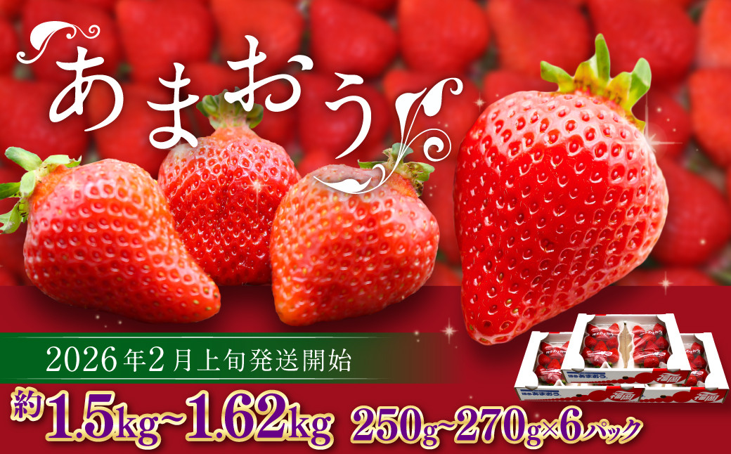 
                  博多あまおう（春） 約250g～270g×6パック 計約1.5kg～1.62kg【2026年2月上旬-4月下旬発送予定】いちご 苺 イチゴ 果物 フルーツ
                