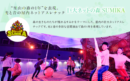 モビリティリゾートもてぎ 入場+パークパスポート（大人1名分）| アスレチック アスレチック アスレチック アスレチック アスレチック