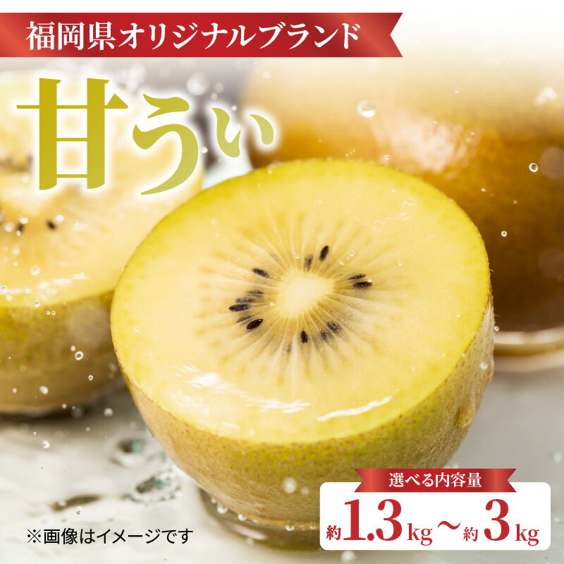 【ふるさと納税】【選べる内容量】【先行受付：2025年11月頃発送開始】福岡限定品種キウイ「甘うぃ」約1.3kg〜約3.0kg＜配送不可：北海道・沖縄・離島＞ 先行受付 キウイ キウイフルーツ フルーツ 果物 くだもの 甘い 高糖度 希少 オリジナル品種 新品種 新ブランド 全国1位