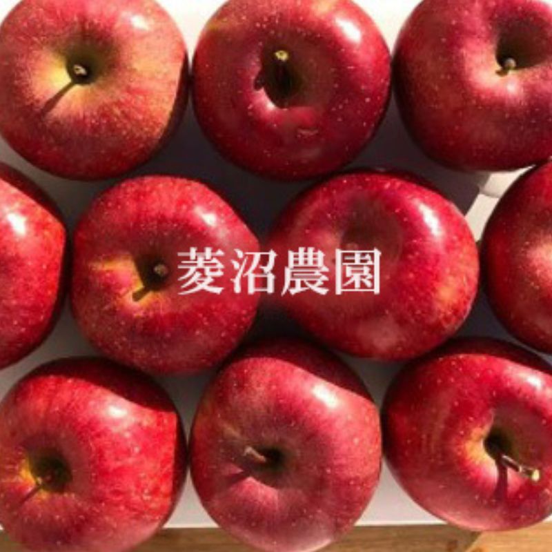 【ふるさと納税】No.2402 菱沼農園　りんご「サンふじ」約3kg【2025年度発送】