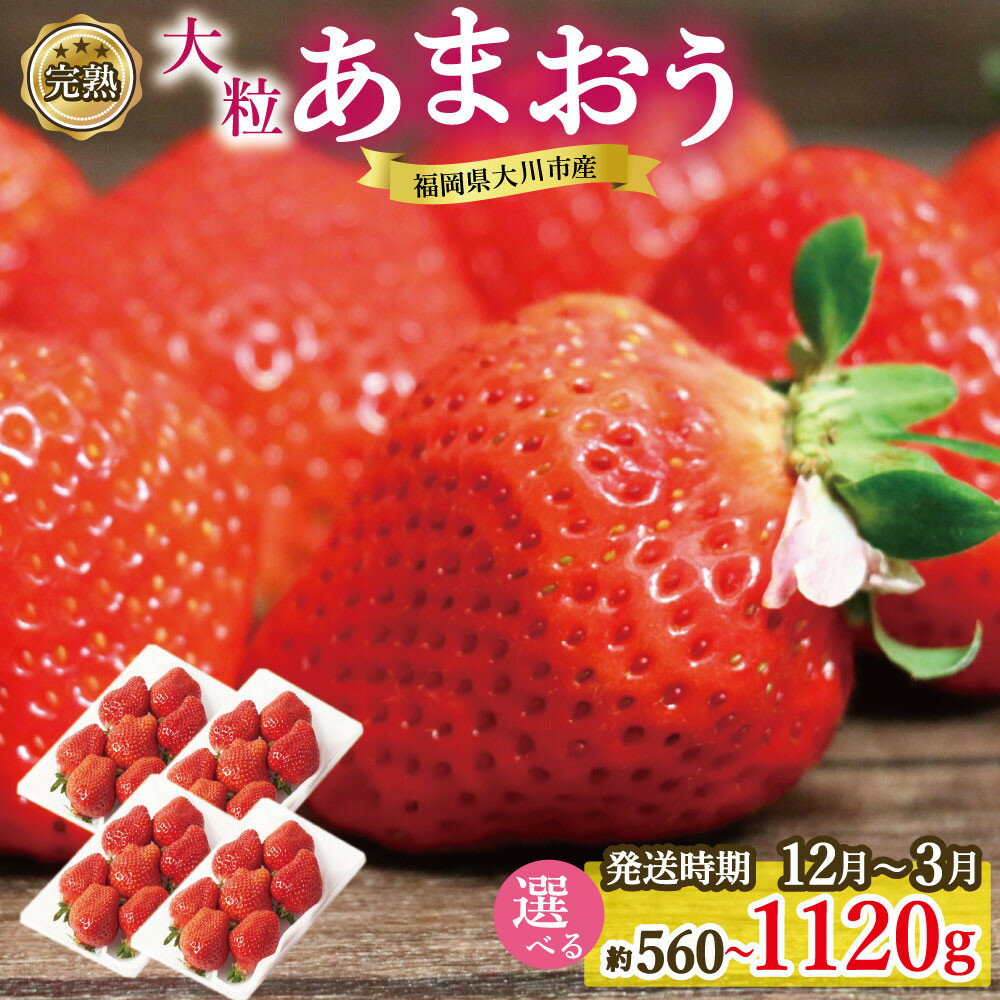 【ふるさと納税】完熟 大粒 あまおう イチゴ 280g×2～4パック 選べる配送時期＜配送不可：北海道、沖縄県、離島＞ | 福岡県 大川市 福岡県大川市 ふるさと 納税 食べ物 取り寄せ お取り寄せグルメ ご当地 ご当地グルメ いちご イチゴ 苺 あまおう苺 特産品 名産 フルーツ