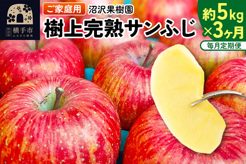 【先行受付】12月上旬より発送 《定期便3ヶ月》樹上完熟サンふじ ご家庭用 約5kg（13～23玉前後）×3回 計15kg 3か月 3ヵ月 3カ月 3ケ月 [先行予約 サンふじ サンフジ 林檎 リンゴ