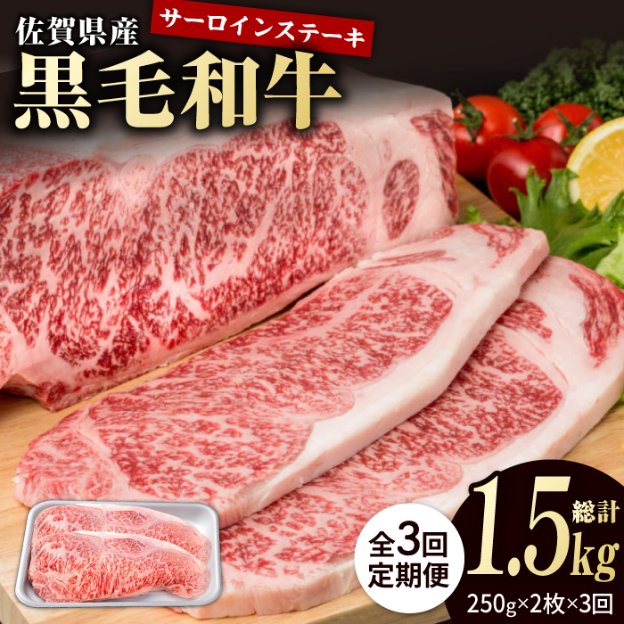 【3回定期便】佐賀県産 黒毛和牛 贅沢 サーロインステーキ 250g×2枚（計500g）【株式会社いろは精肉店】/黒毛和牛 和牛 牛肉 肉 お肉 贅沢 高級 ステーキ サーロイン[IAG087]