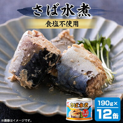 【ふるさと納税】マルハニチロ さば水煮 食塩不使用 190g×12個【配送不可地域：離島】【1544062】